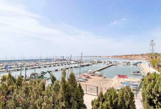 New Build - Apartment / flat - Pilar de la Horadada - Torre de la Horadada