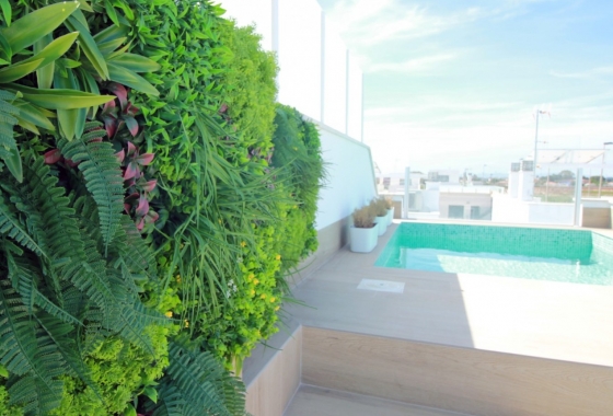 New Build - Apartment / flat - Pilar de la Horadada - Torre de la Horadada