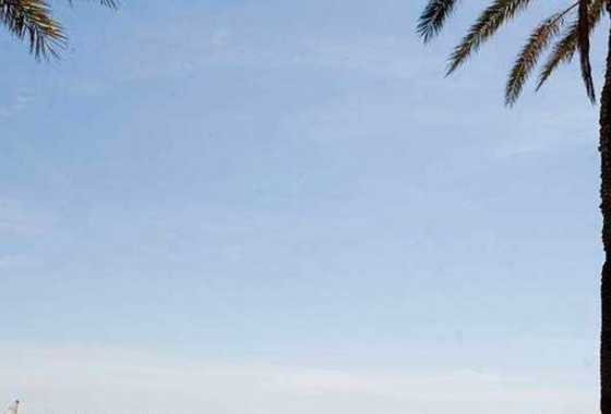 New Build - Villa - Cartagena - Mar De Cristal