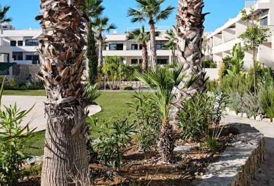 Resale - Apartment / flat - Torrevieja - La Veleta
