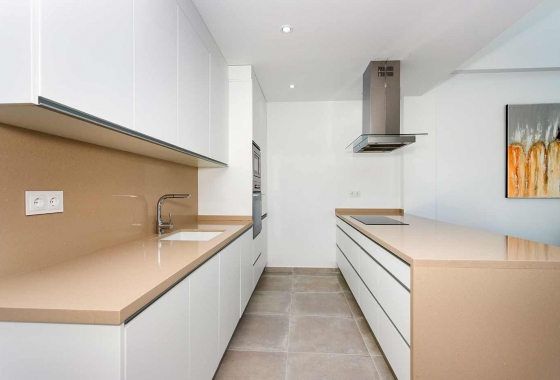 Nouvelle construction - Villa - Daya Nueva