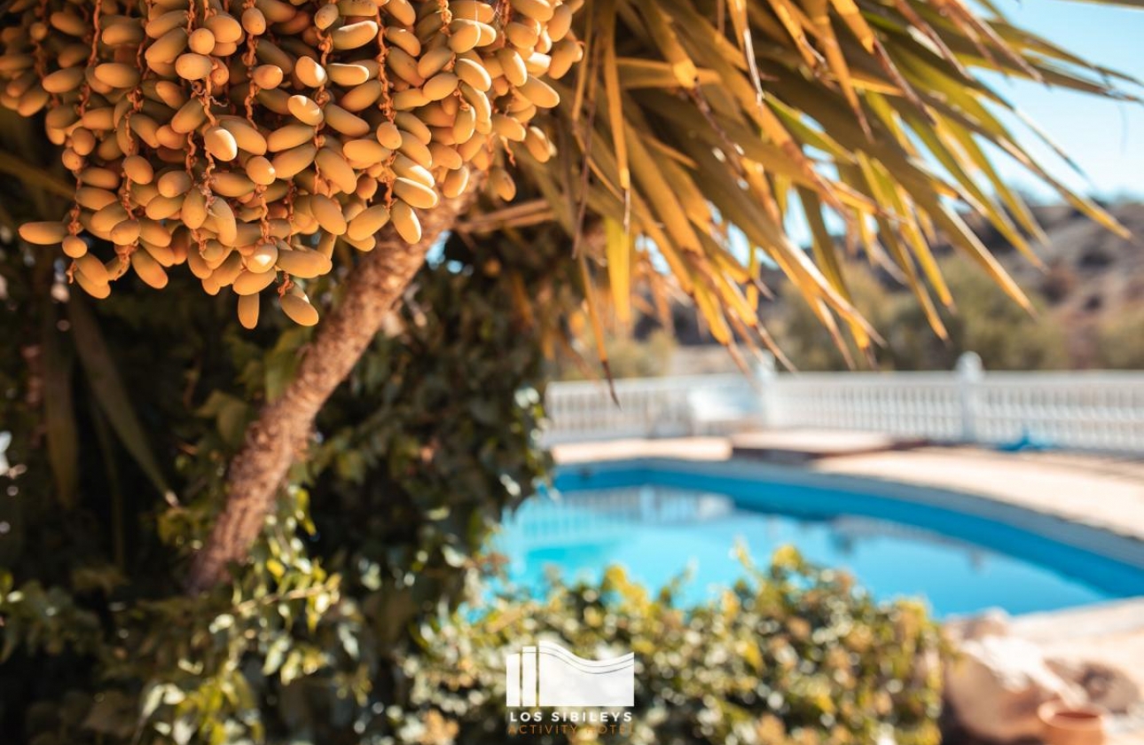 Resale - Finca / Country Property - Murcia