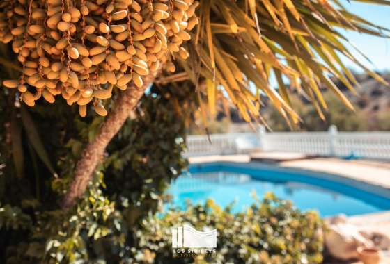 Resale - Finca / Country Property - Murcia