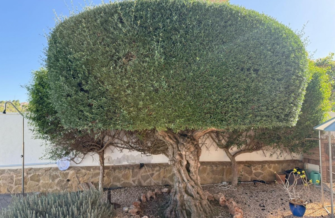 Revente - Villa - San Miguel de Salinas