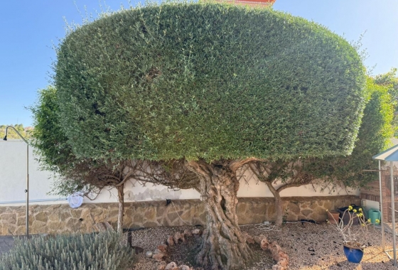 Revente - Villa - San Miguel de Salinas