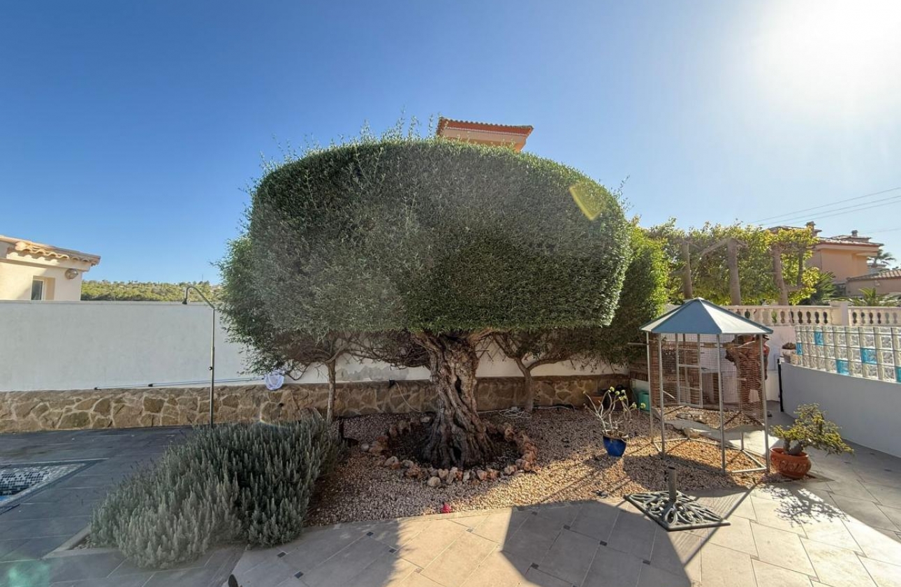 Revente - Villa - San Miguel de Salinas