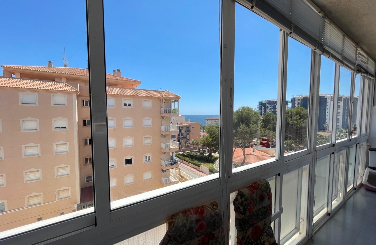 Herverkoop - Appartement / flat - Punta Prima