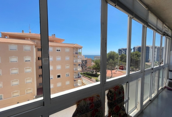 Herverkoop - Appartement / flat - Punta Prima