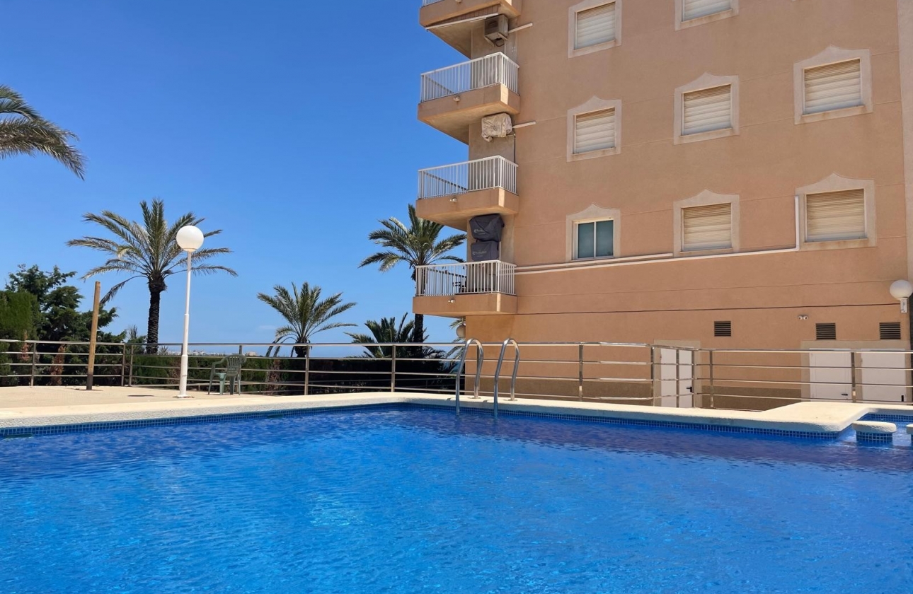 Herverkoop - Appartement / flat - Punta Prima