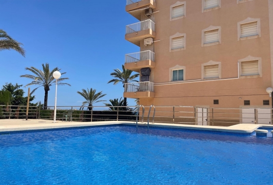 Herverkoop - Appartement / flat - Punta Prima