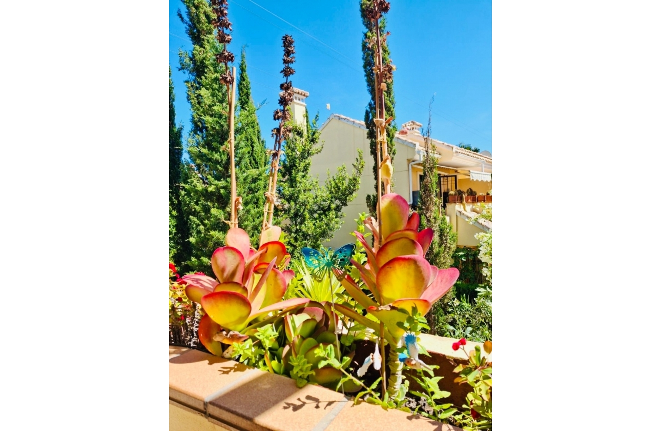 Resale - Apartment / flat - Orihuela Costa - Lomas de Campoamor