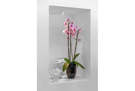 Reventa - Villa - Guardamar del Segura