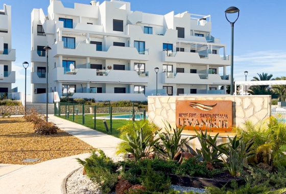 Revente - Apartment / Duplex - Santa Rosalia