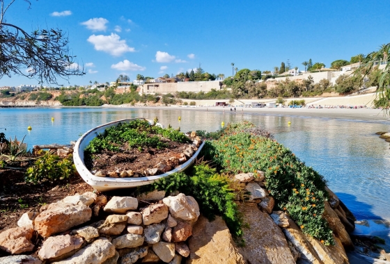 Herverkoop - Appartement / flat - Cabo Roig