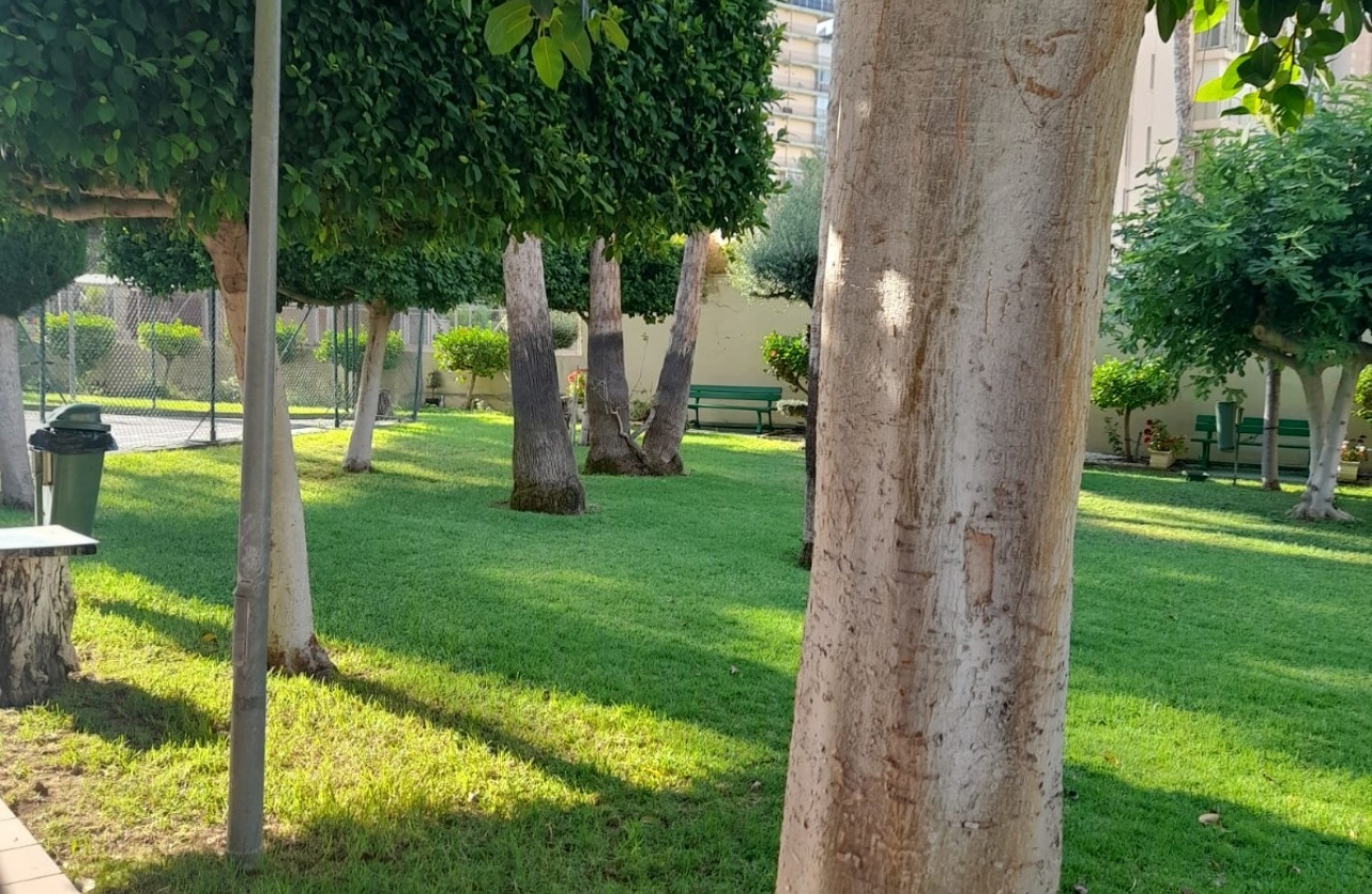 Resale - Apartment / flat - Benidorm - Levante