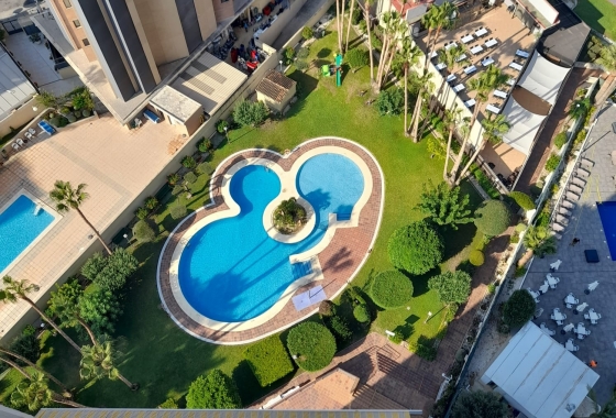 Resale - Apartment / flat - Benidorm - Levante