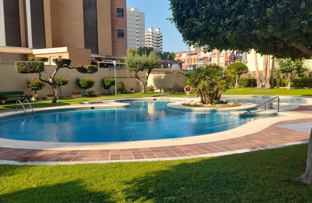Resale - Apartment / flat - Benidorm - Levante