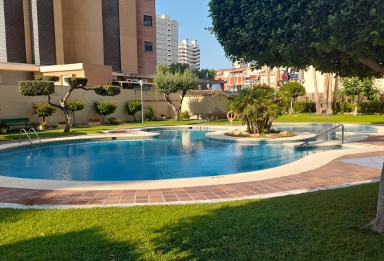 Resale - Apartment / flat - Benidorm - Levante