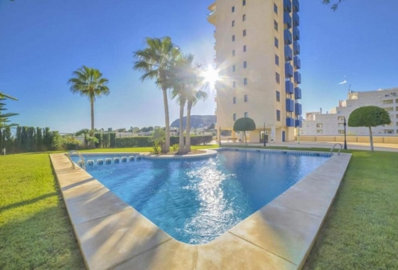 Reventa - Apartamento / piso - Calpe