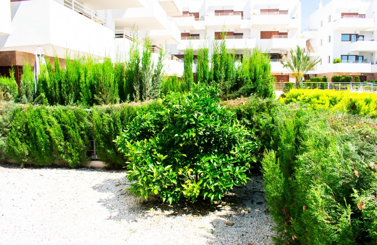 Resale - Apartment / flat - Orihuela Costa - Cabo Roig