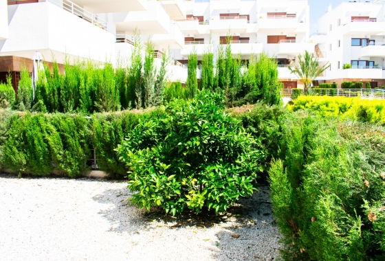 Resale - Apartment / flat - Orihuela Costa - Cabo Roig