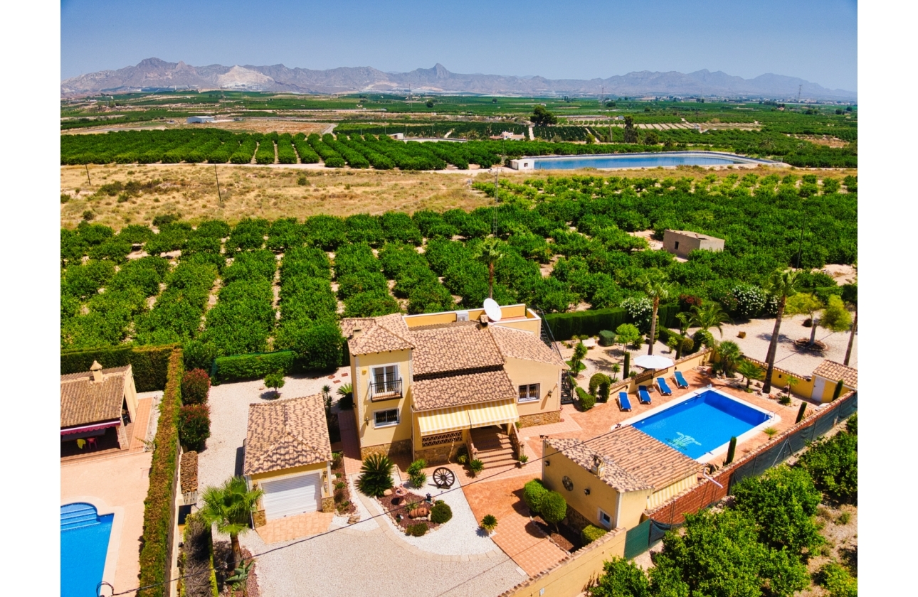 Resale - Finca / Country Property - Orihuela Costa - Orihuela