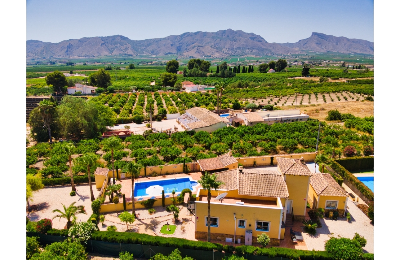 Resale - Finca / Country Property - Orihuela Costa - Orihuela