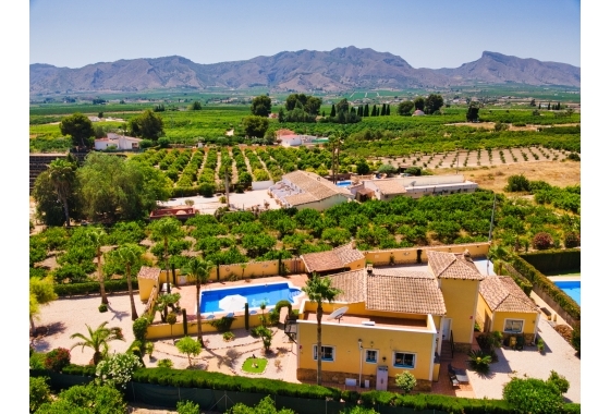 Resale - Finca / Country Property - Orihuela Costa - Orihuela