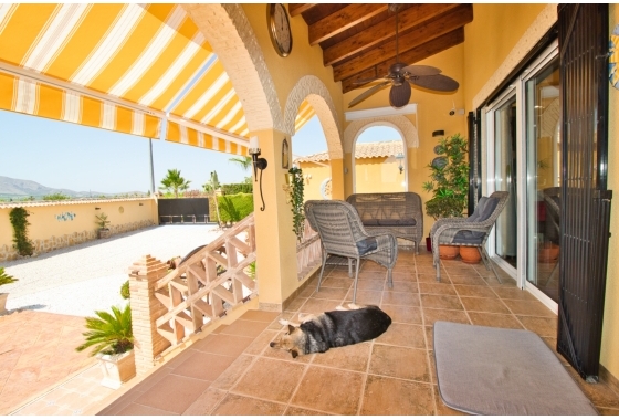 Resale - Finca / Country Property - Orihuela Costa - Orihuela