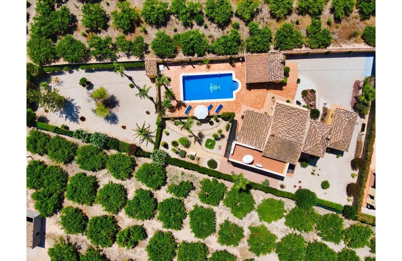 Resale - Finca / Country Property - Orihuela Costa - Orihuela