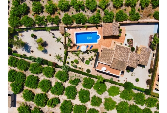 Resale - Finca / Country Property - Orihuela Costa - Orihuela