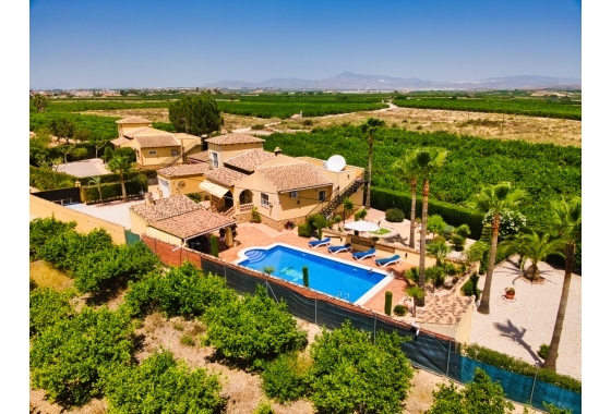 Resale - Finca / Country Property - Orihuela Costa - Orihuela