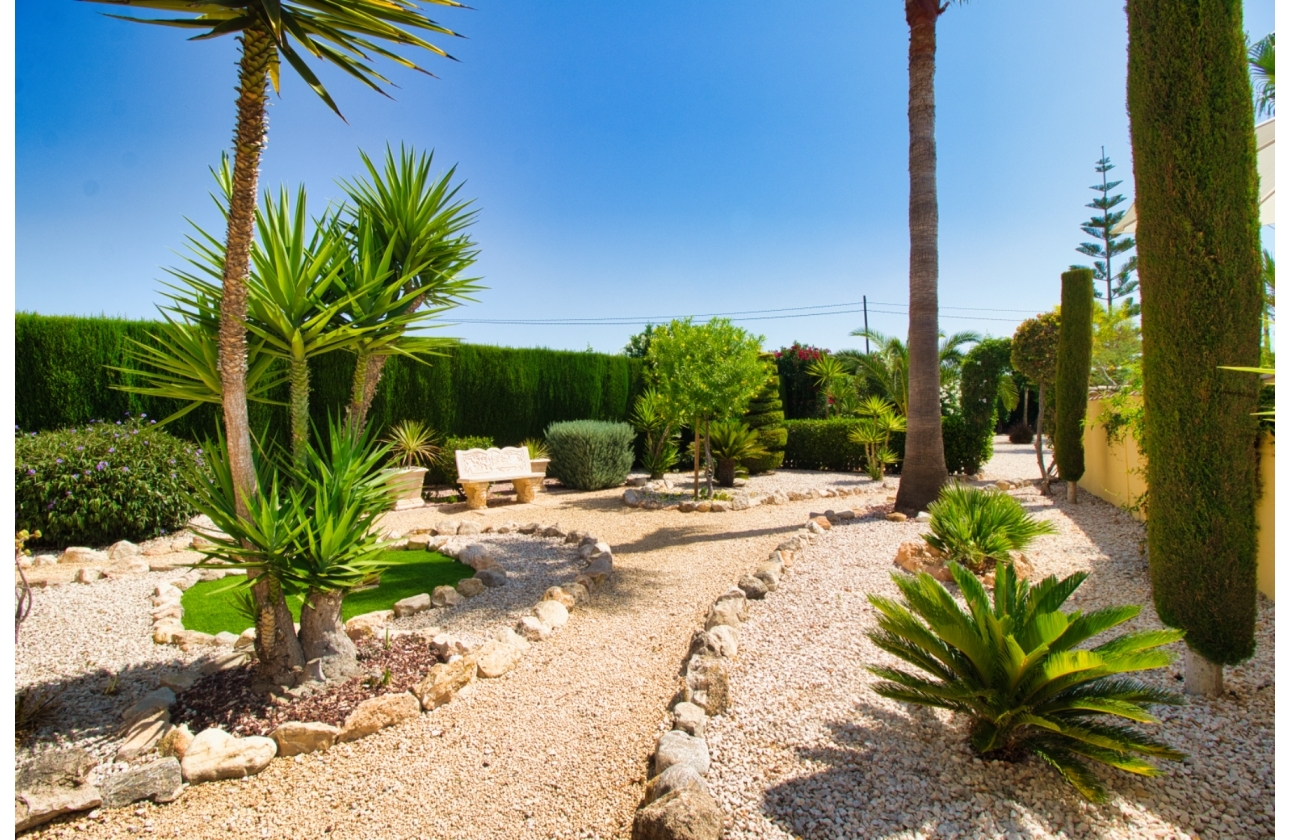 Resale - Finca / Country Property - Orihuela Costa - Orihuela