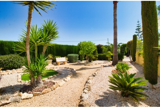 Resale - Finca / Country Property - Orihuela Costa - Orihuela