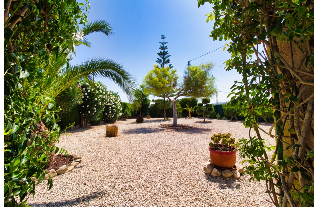 Resale - Finca / Country Property - Orihuela Costa - Orihuela