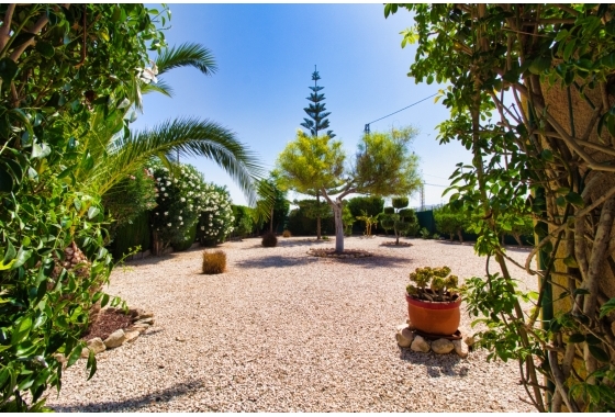 Resale - Finca / Country Property - Orihuela Costa - Orihuela