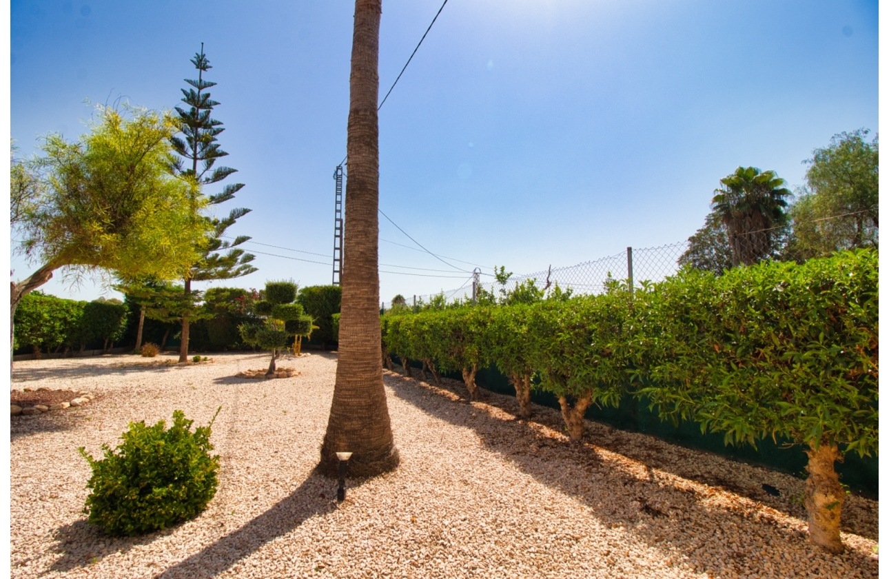 Resale - Finca / Country Property - Orihuela Costa - Orihuela