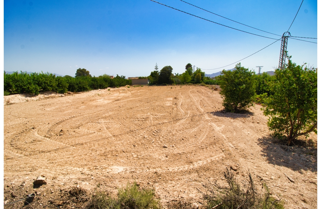 Resale - Finca / Country Property - Orihuela Costa - Orihuela