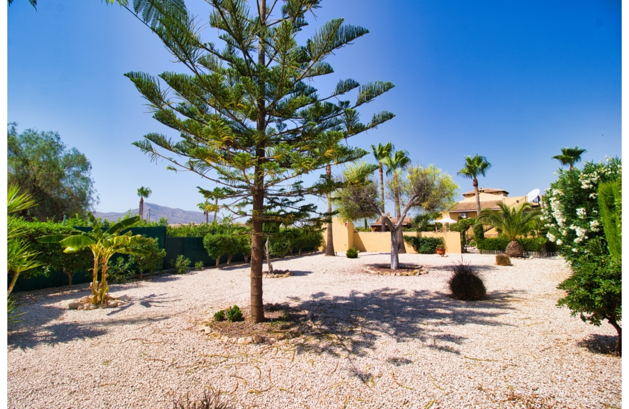 Resale - Finca / Country Property - Orihuela Costa - Orihuela