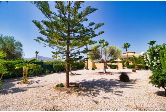 Resale - Finca / Country Property - Orihuela Costa - Orihuela