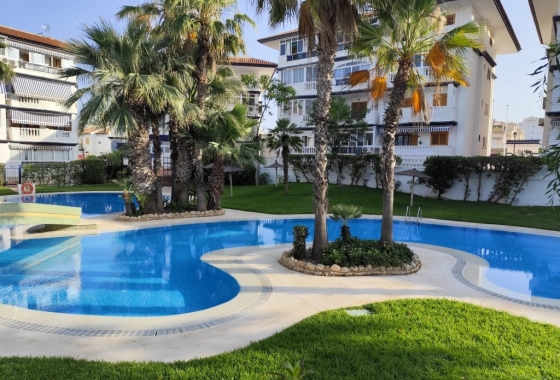 Resale - Apartment / flat - Torrevieja