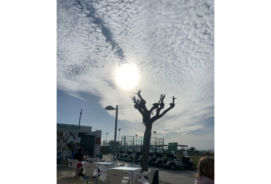 Resale - Apartment / flat - Vistabella Golf - Entre Naranjos