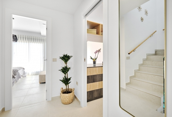 Nouvelle construction - Villa - San Miguel de Salinas