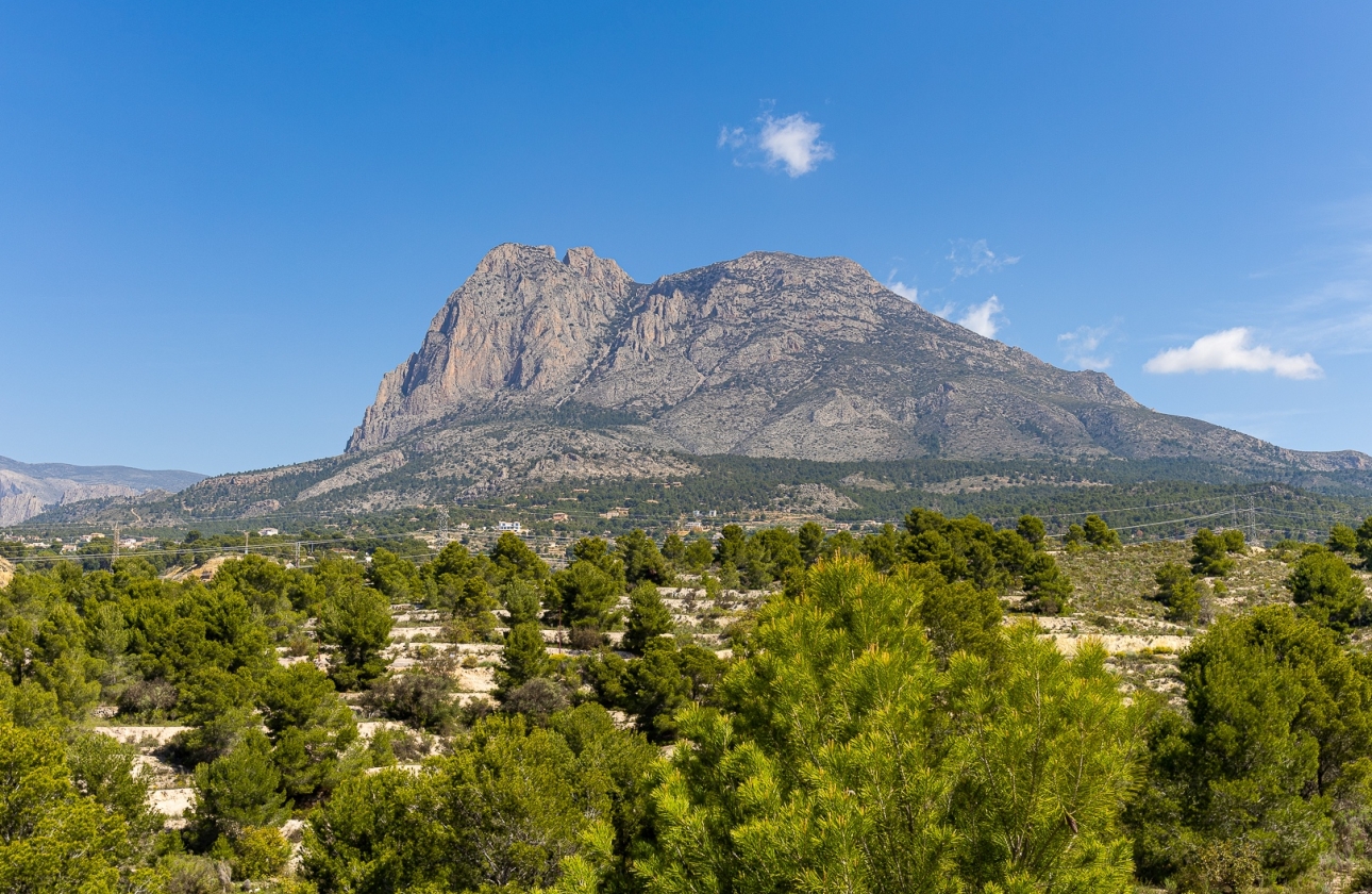 New Build - Villa - Finestrat