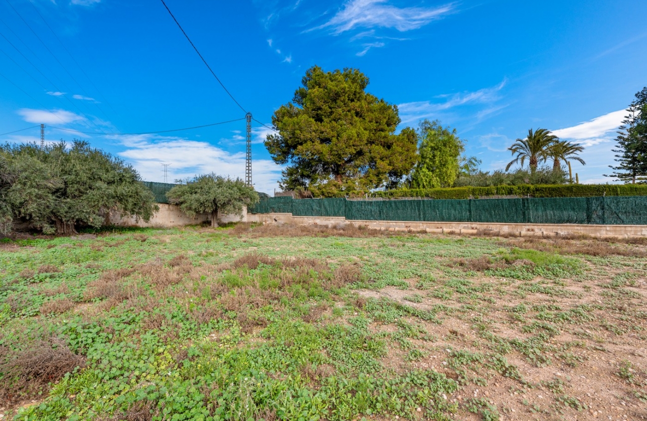 Revente - Villa - Elche