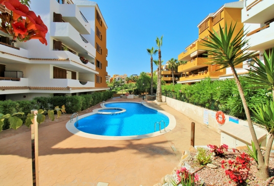 Herverkoop - Appartement / flat - Punta Prima