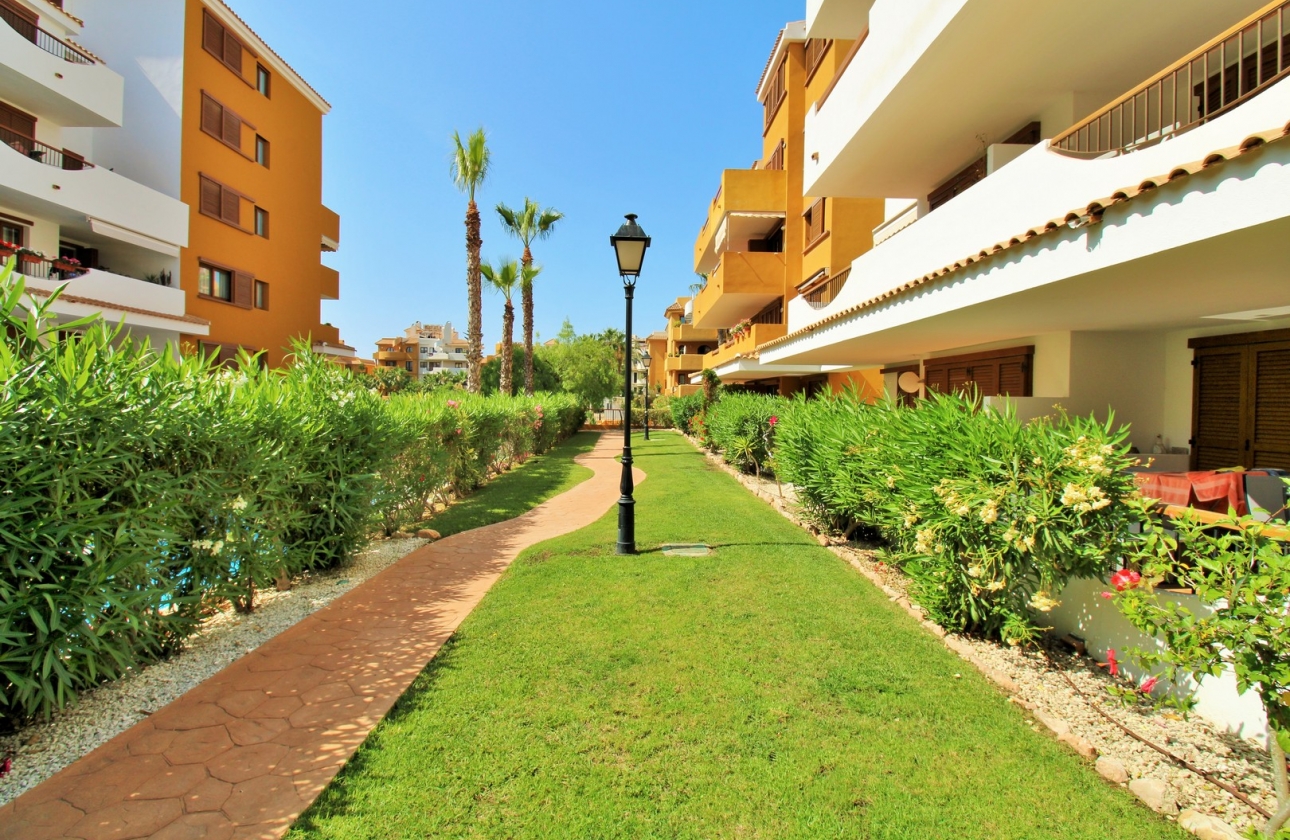 Herverkoop - Appartement / flat - Punta Prima