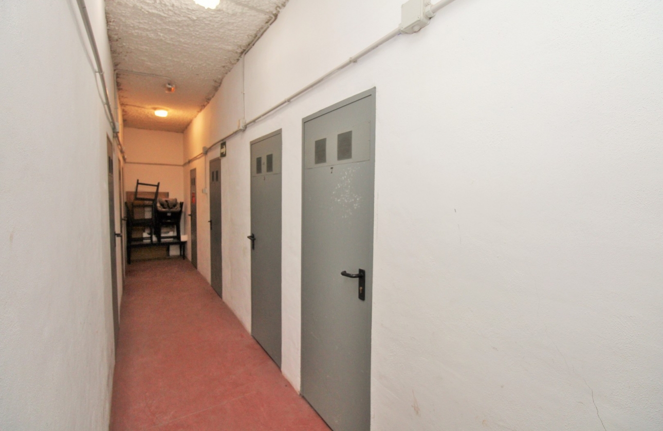 Herverkoop - Appartement / flat - Punta Prima