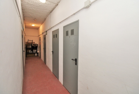 Herverkoop - Appartement / flat - Punta Prima