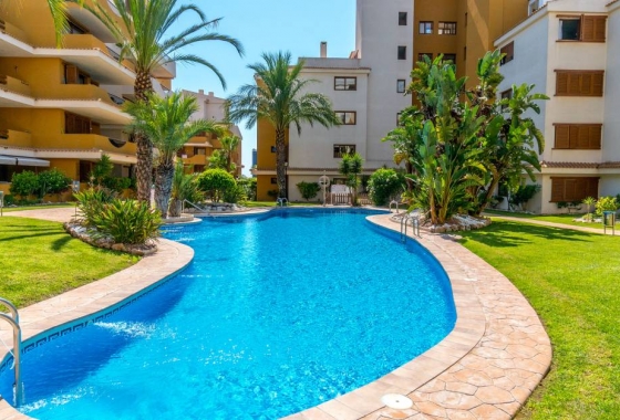 Herverkoop - Appartement / flat - Punta Prima